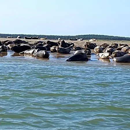 D'hotes La Sirene - Nocleg ze śniadaniem Saint-Valéry-sur-Somme