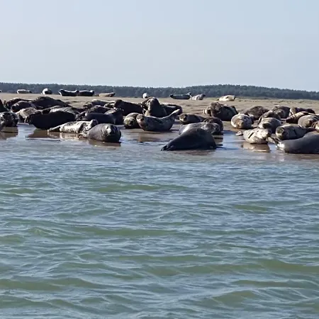 Bed & Breakfast D'hotes La Sirene - Saint-Valery-sur-Somme