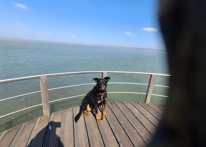 Couette-café La Sirène Saint-Valery-sur-Somme