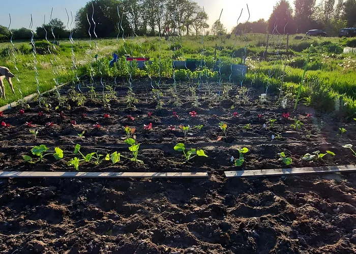 La Sirène 3* Saint-Valery-sur-Somme