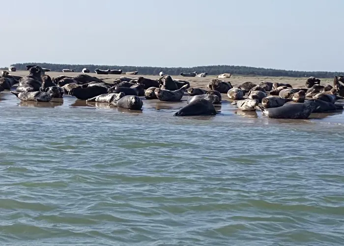 Bed & Breakfast D'hotes La Sirene - Saint-Valery-sur-Somme